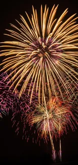 Colorful fireworks burst against night sky in vibrant display.