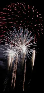 Colorful fireworks light up the night sky.