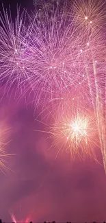 Vibrant fireworks exploding in a night sky over a silhouetted crowd.