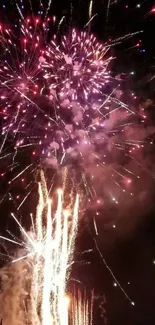 Vibrant fireworks burst in purple and red against a dark night sky.