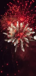 Vibrant red and white fireworks burst in the night sky.