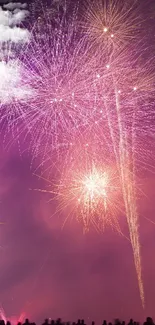 Colorful fireworks exploding in a vibrant night sky.