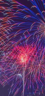 Colorful fireworks exploding against a night sky.