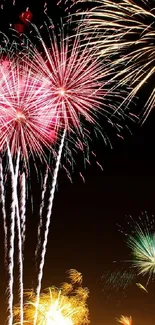 Vibrant fireworks illuminating a night sky.