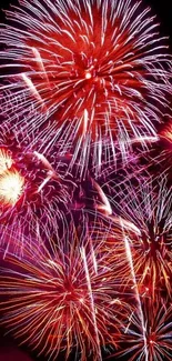 Vibrant fireworks display bursting with bright red and colorful explosions against a dark sky.