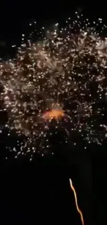 A mesmerizing fireworks display against a black night sky wallpaper.