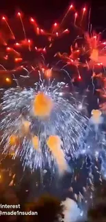 Colorful fireworks bursting in the night sky.