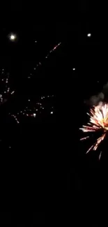 Vibrant fireworks burst in a dark night sky.