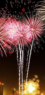 A vibrant display of colorful fireworks against a black night sky.