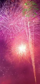 Colorful fireworks display against a purple night sky.