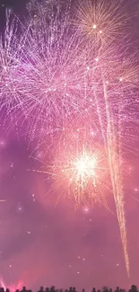 Vibrant purple fireworks lighting up the night sky with silhouettes.