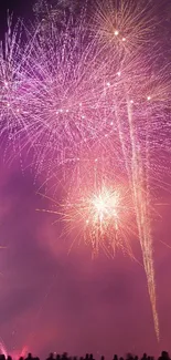 Vibrant fireworks illuminating the night sky.