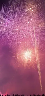 Vibrant fireworks burst over a silhouetted crowd against a purple sky.