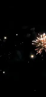 Vibrant fireworks bursting in a dark sky.