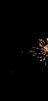 Colorful fireworks exploding in a dark night sky.