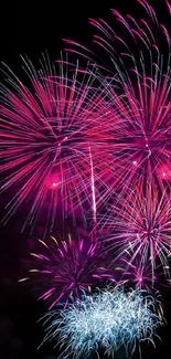 Vibrant pink and purple fireworks burst against a dark night sky.