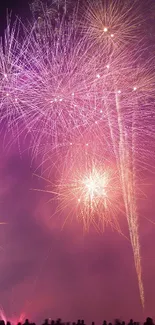 Vibrant fireworks illuminating the night sky with silhouetted crowd below.