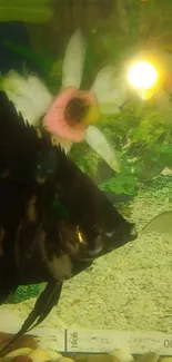 Colorful fish swimming amidst green plants and flowers in an aquarium.