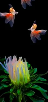 Vibrant fish swim above a blooming flower on a dark background.