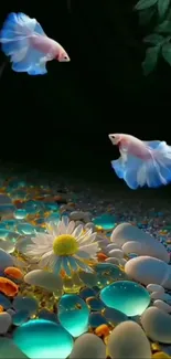 Colorful betta fish swimming over vibrant pebbles and a flower.