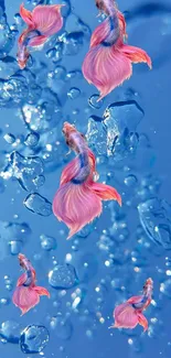 Vibrant pink fish with bubbles on a blue background.