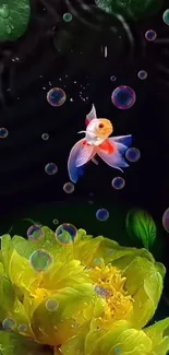 Colorful fish with yellow flower and bubbles on a phone wallpaper background.