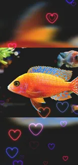 Orange fish with neon heart lights mobile wallpaper.