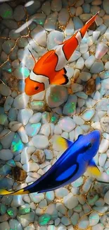 Colorful fish swim gracefully over marble stones.