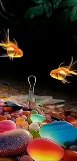 Vibrant fish swimming over colorful pebbles with a dark background.