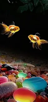 Vibrant goldfish swim above colorful pebbles.