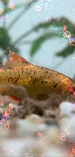 Vibrant fish with heart-shaped bubbles in an underwater scene.