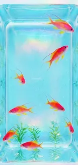 Colorful fish swimming in a clear aquarium.