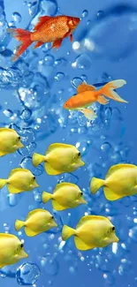 Colorful fish swimming against a blue backdrop with bubbles.