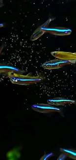 Bright neon fish swimming in darkness on mobile wallpaper.