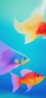 Vibrant and colorful fish swimming in a serene ocean setting, perfect for phone wallpaper.