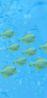 Bright fish swimming in blue ocean wallpaper.