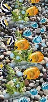 Colorful fish swim over a pebble background.