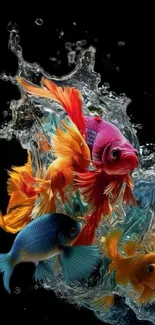 Vibrant fish swimming in a water splash on a black background.