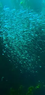 Swarm of fish in the deep ocean, creating a vibrant underwater scene.