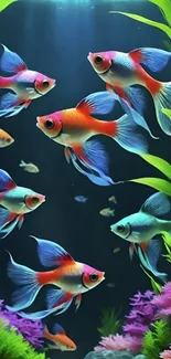 Colorful fish swimming in a vibrant underwater scene with green plants.