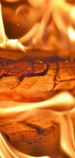 Close-up of vibrant flames on firewood wallpaper in orange hues.