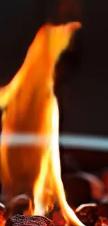 Vibrant flame against dark background