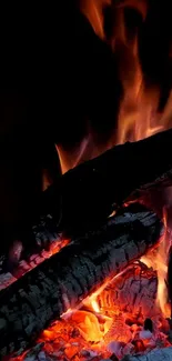 Close-up of vibrant flames with burning logs creating a warm glow.