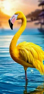 Yellow flamingo standing in water at sunset.