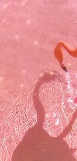 A pair of flamingos with pink water reflections on a tropical beach.