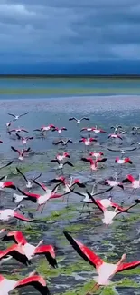 Flamingos in flight over a serene lake under a dramatic sky.