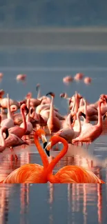 A flock of vibrant flamingos on a serene water reflection.