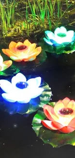 Illuminated floating lotus flowers on dark water creating a serene ambiance.