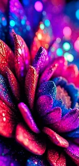 Vibrant abstract flower petals in vivid colors.
