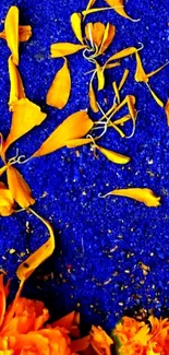 Orange petals on blue background abstract wallpaper.